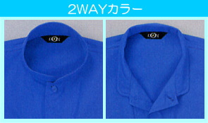 2WAY�J���[