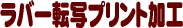 ���o�[�]�ʃv�����g���H