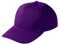 �N���u�c�C���L���b�v�@�p�[�v��