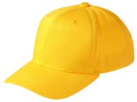 �N���u�c�C���L���b�v�@�f�C�W�[
