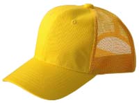 �c�C�����b�V���L���b�v�@�f�C�W�[