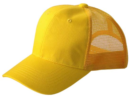 �c�C�����b�V���L���b�v