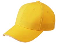 �W���[�c�C���L���b�v�@�f�C�W�[