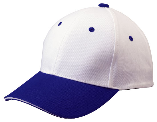 �c�[�g���c�C���L���b�v