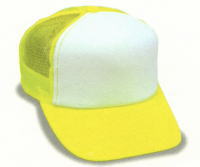 �u���C�G���[*�z���C�g