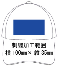 �h�J���H�\�͈� ��100mm�~�c35mm