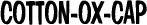 �R�b�g���I�b�N�X�L���b�v
