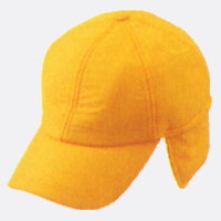 �G�N�X�L���b�v�@�C�G���[