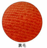 裏毛