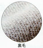 裏毛