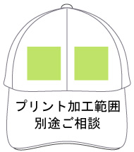 vgH\͈́@ʓrk