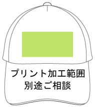 �v�����g���H�\�͈́@�ʓr�����k