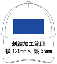 �h�J���H�\�͈� ��120mm�~�c55mm