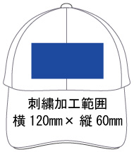 �h�J���H�\�͈� ��120mm�~�c60mm