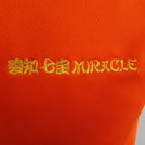 刺繍　ファイバーTシャツ（T-POT104）