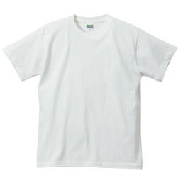 TシャツT-5001について